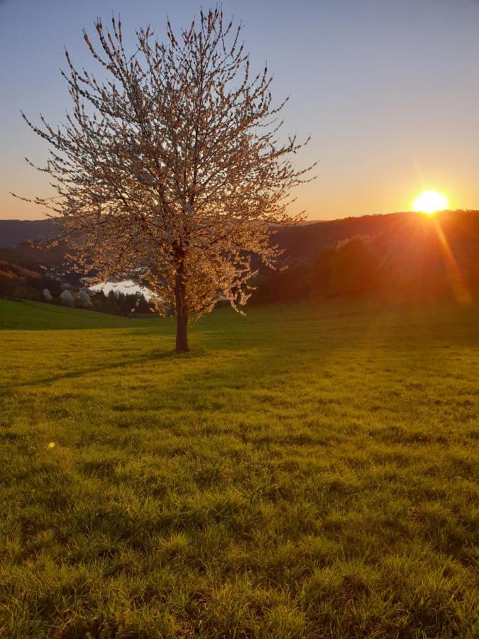זימראת' Garden & Hill Ferienwohnung Limburg מראה חיצוני תמונה